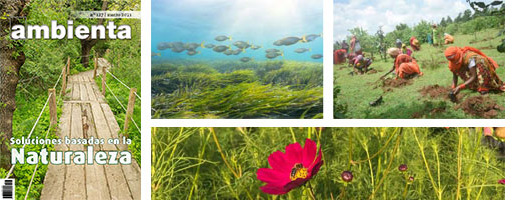 La revista Ambienta dedica su nmero de marzo a las Soluciones basadas en la Naturaleza